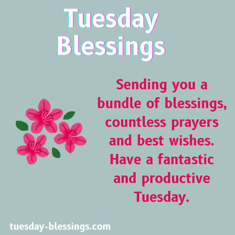 Happy Tuesday Blessings