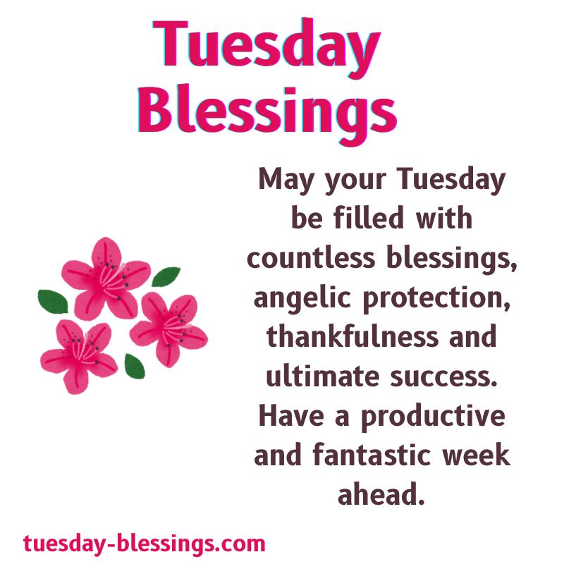 Tuesday Blessings Quotes