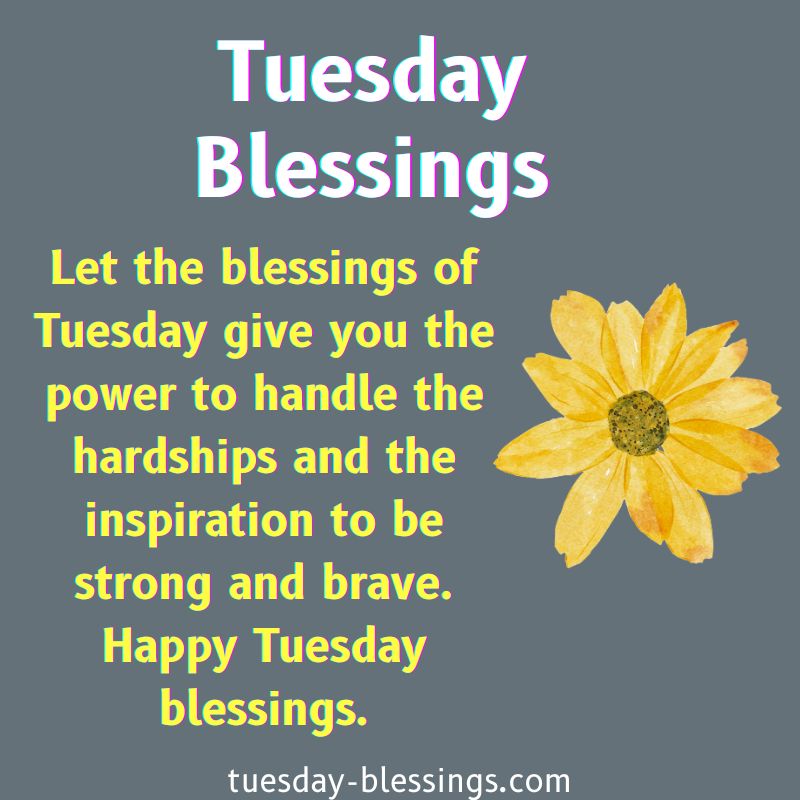 Tuesday Blessings
