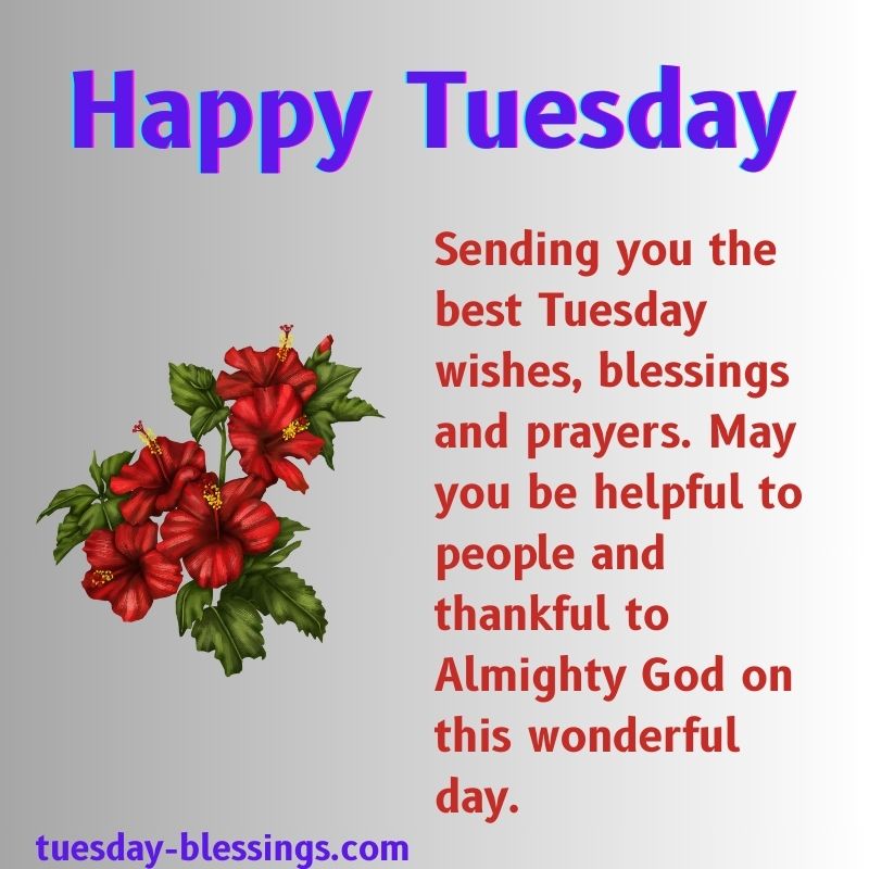 Tuesday Blessings