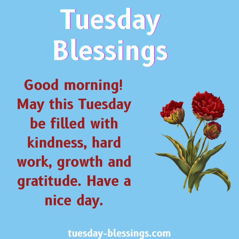 Tuesday Morning Blessings