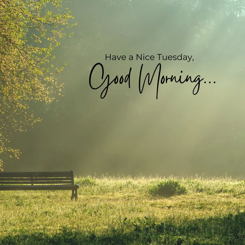 good morning tuesday image..