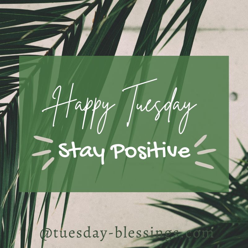 good morning tuesday images