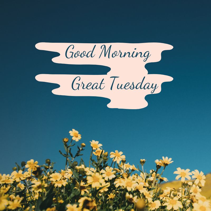 tuesday morning image