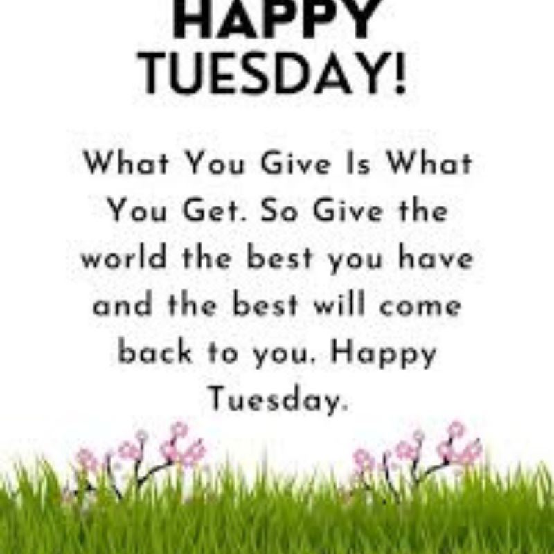 Tuesday Quotes