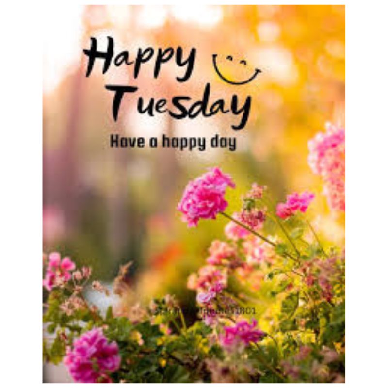 Tuesday morning quotes